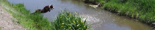 100_1484.jpg