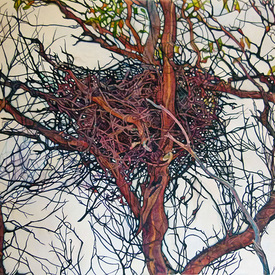 Christina Kerkvliet Goddard - Empty Nest