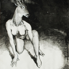 Shelah Horvitz - DEER